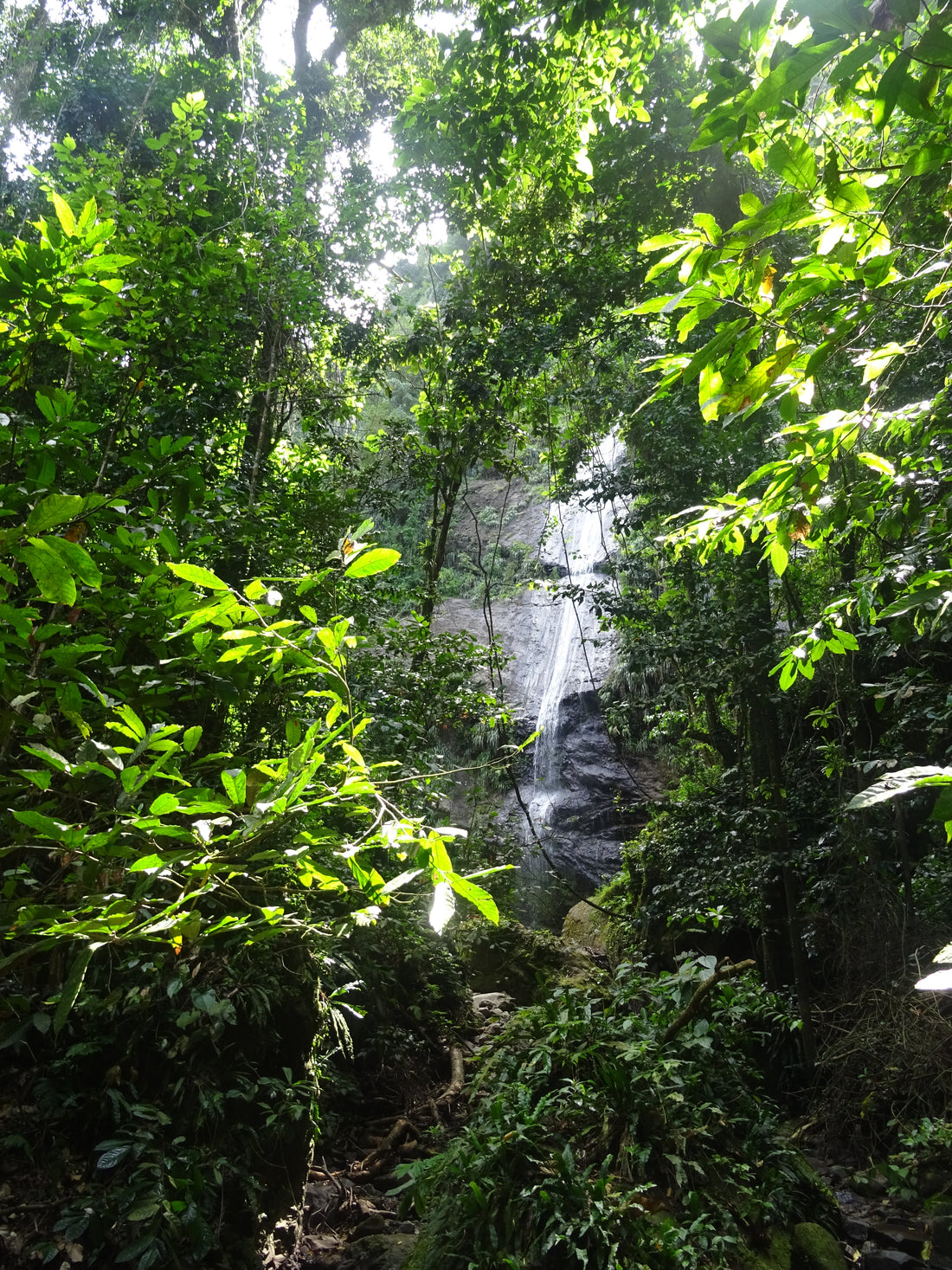 Cascade Couleuvre au Prêcheur en Martinique