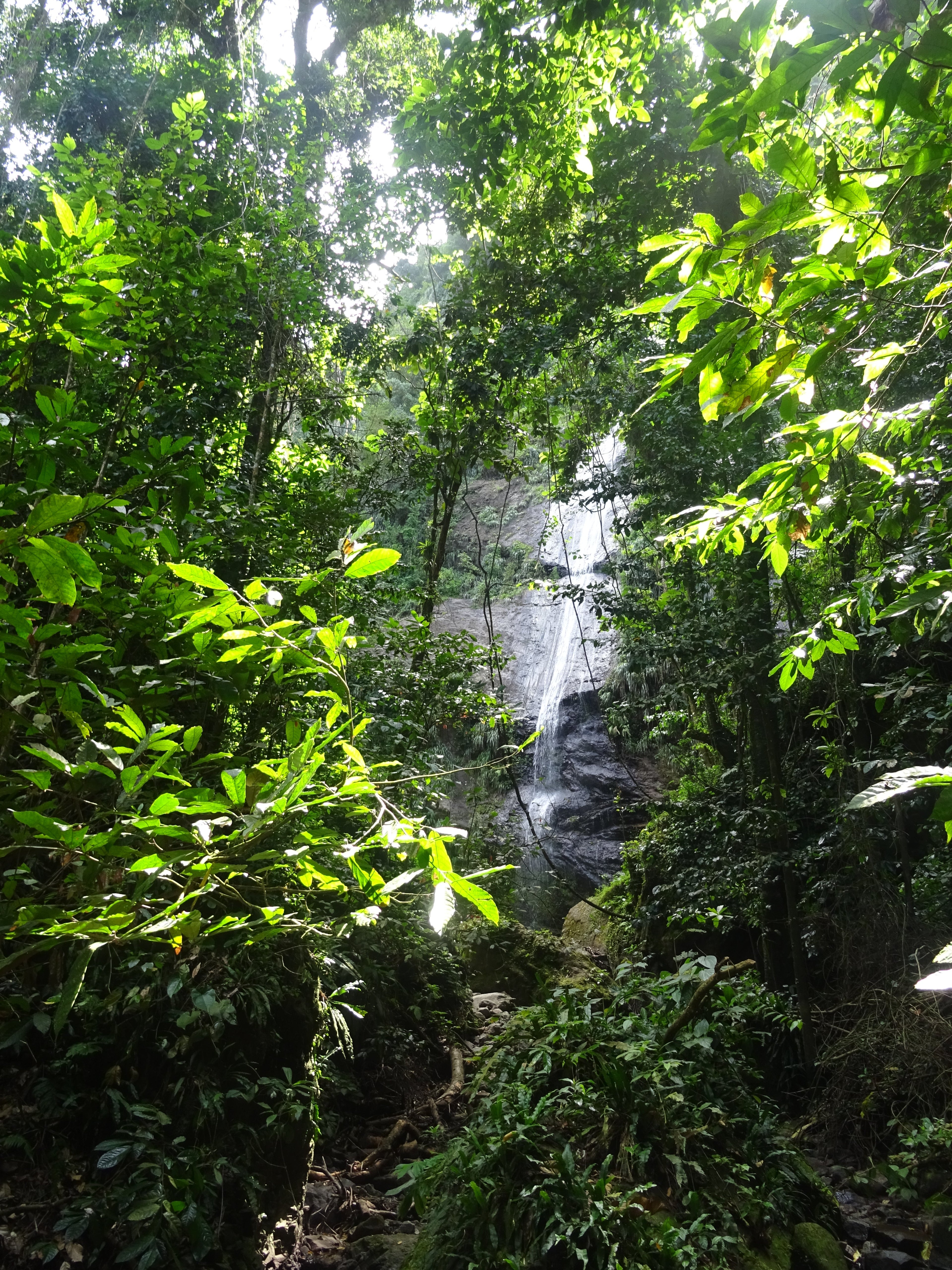 Cascade Couleuvre au Prêcheur en Martinique