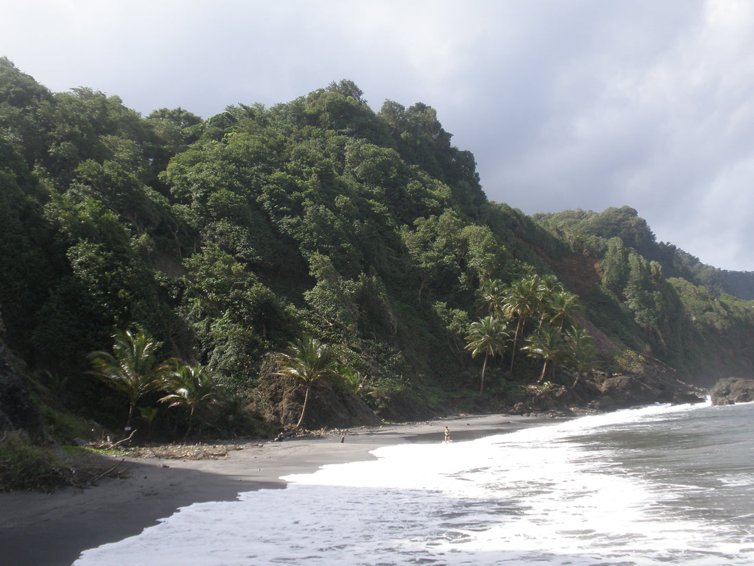 Plage de Sinaï à Grand’Rivière dans le nord de la Martinique
