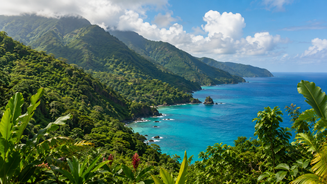 Paysage luxuriant de Guadeloupe entre relief tropical et mer des Caraïbes