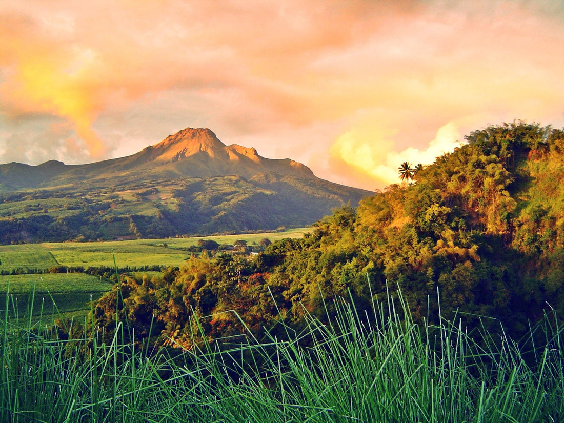 Montagne Pelée en Martinique
