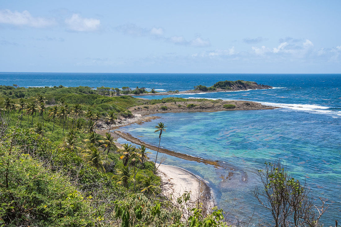 Randonnée sur la Trace des Caps dans le sud de la Martinique