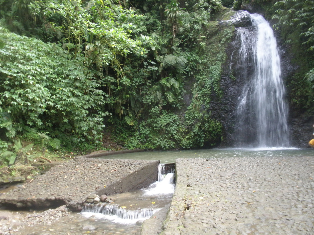 Cascade du Saut du Gendarme à Fonds-Saint-Denis en Martinique